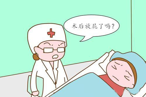 Ҫָ죬ʸ󾡿