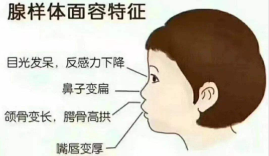 СĶͯʴ