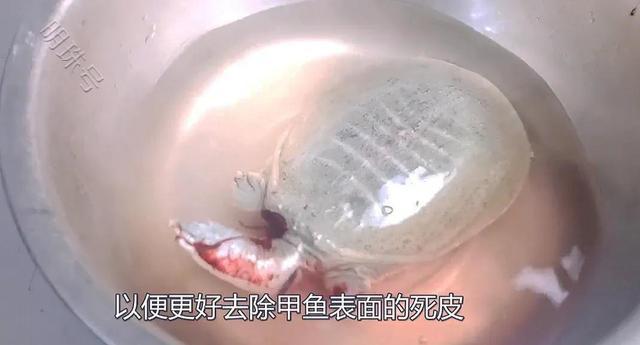 ôúӪ