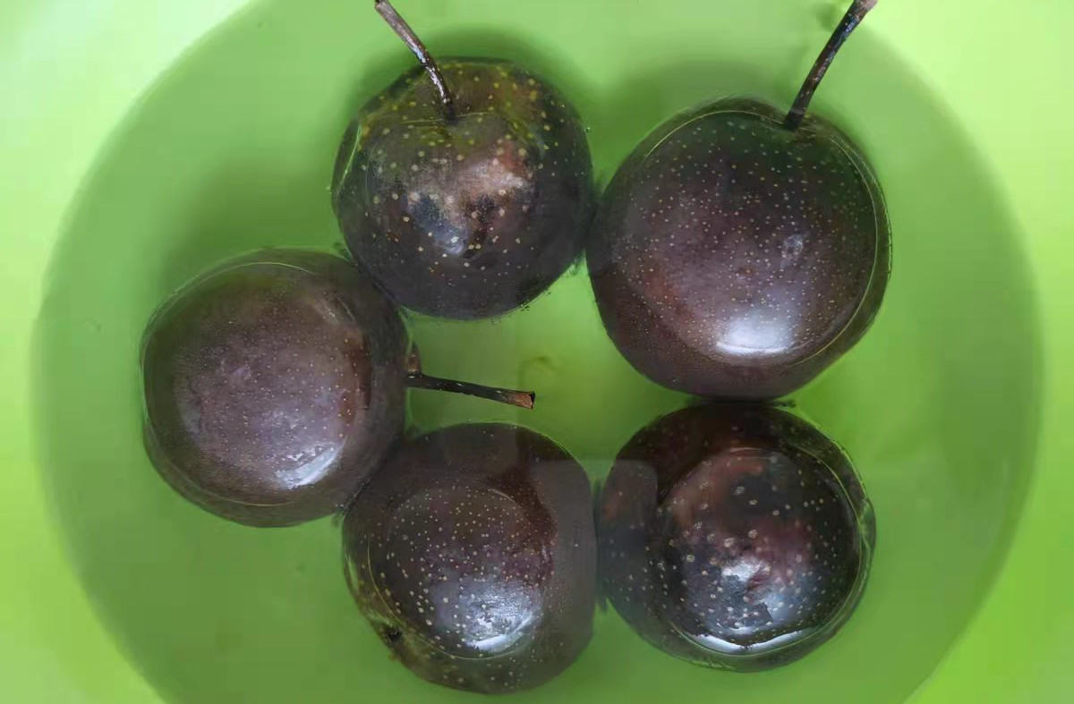 冻梨的正确吃法