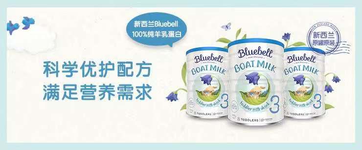 BluebellֱЯרʢڣ̽θι