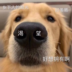 ͼƬ 9.jpg