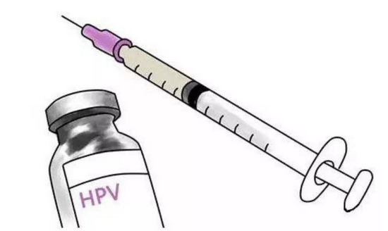 HPVԤԼ֣ԤЧķHPV֮ǰҪ֪Щࡱ