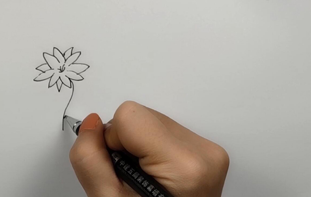 花朵简笔画怎么画 花朵的简笔画步骤图解教程