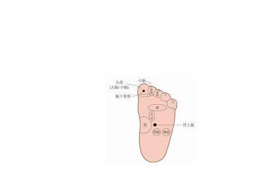 ŵĸλϸͼ