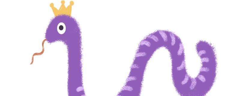 ߺʲô