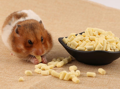 ʲô