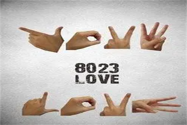 8023ִİ麬