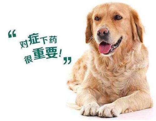 ô