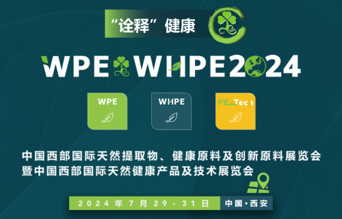 йȻչWPE&WHEP2024ĻȫչԽղأ