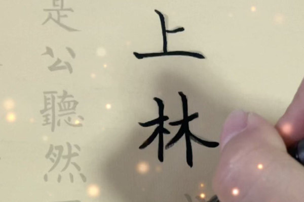 ָ