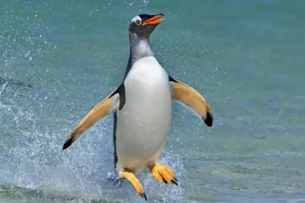 ?