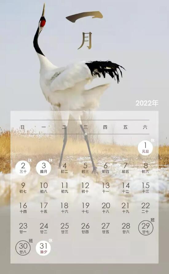 2022Ԫżٰˣ
