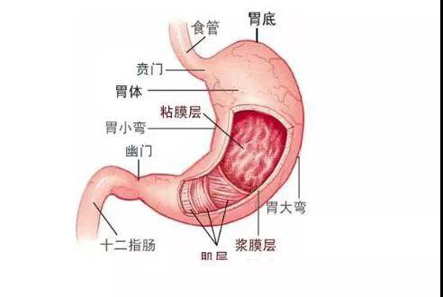 f34ef8b85f99fd117589e3f568f8330d.png