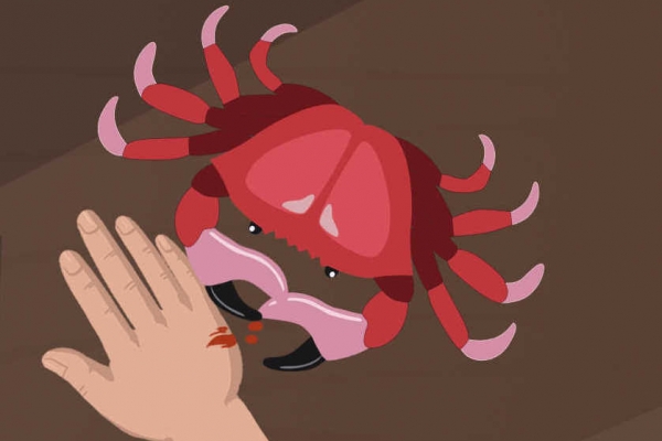 зʱ