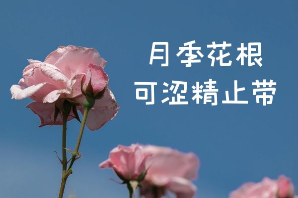 ¼ĹЧüЩ