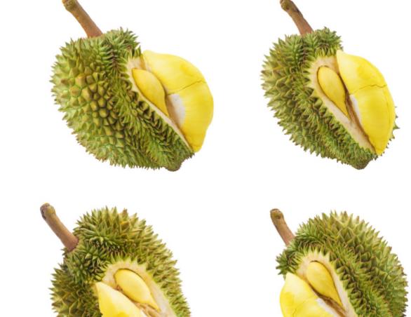 ܳʲô ϻʳ   ţ