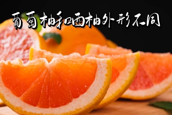 ֵֺЩߵĲ֮ͬ⼸