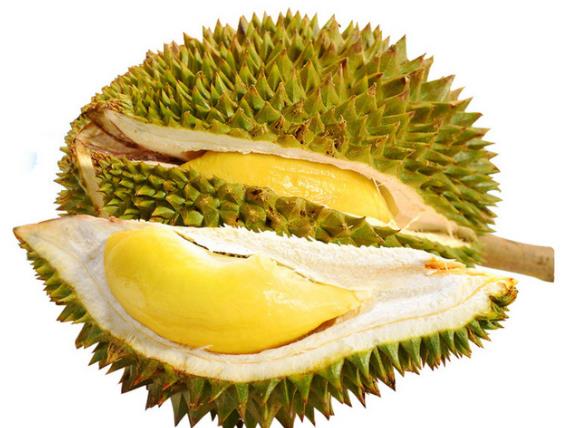 ܳʲô ϻʳ   ţ