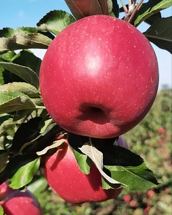 ˮػϻ𣿳ںˮػϻ𣿿㻹˽أ