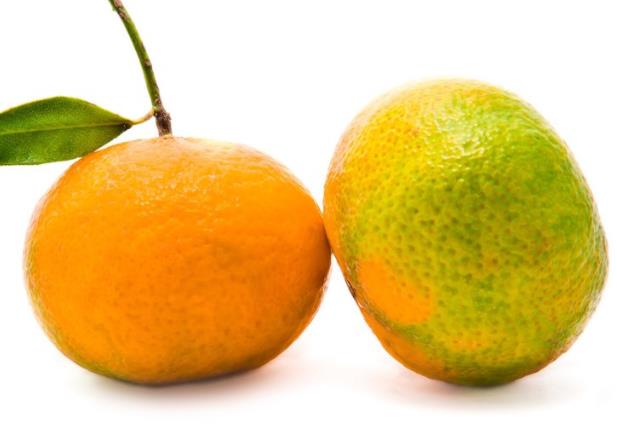 ϻô ֹͣʳ,ȵˮ