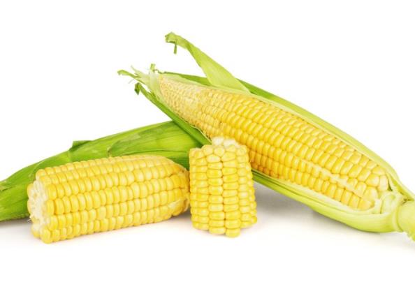 ׿Կ þ׸ưϸ