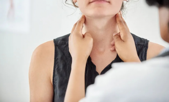 ����ڣ������е���״�٣�����������Ա�ס���� ��