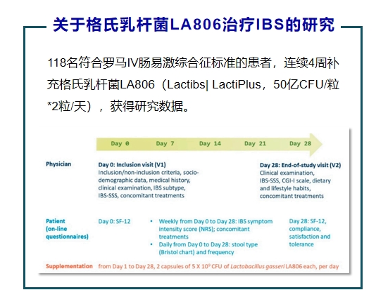 格氏乳杆菌LA806:肠易激人群的精准之选
