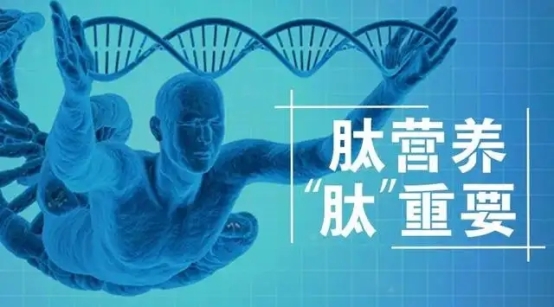 轿ڷҺ˰Ϊݻ