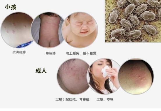 Ա?轿ڷҺӸԴϽе