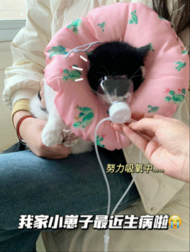 ѡ񣺰̩AM-3-NWð賩
