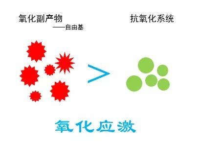 氢气的抗氧化作用，有望成为自闭症治疗的新方法