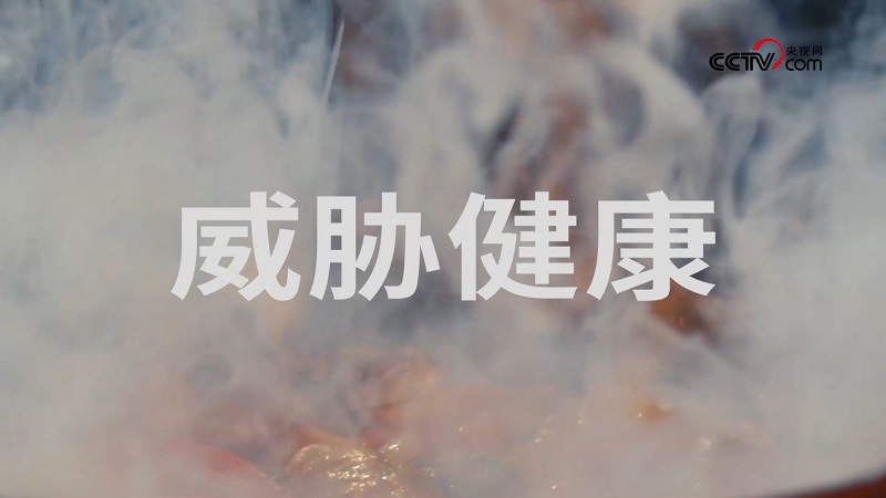 央视网走进多力安心工厂，探寻“降低油烟技术”专利的奥秘