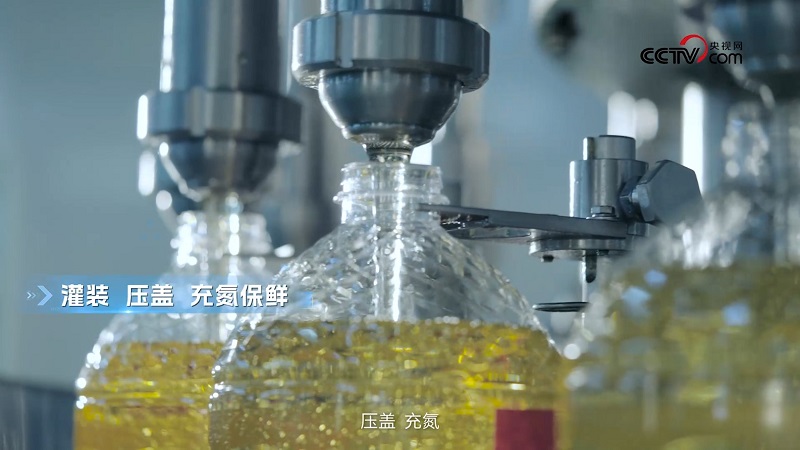 央视网走进多力安心工厂，探寻“降低油烟技术”专利的奥秘
