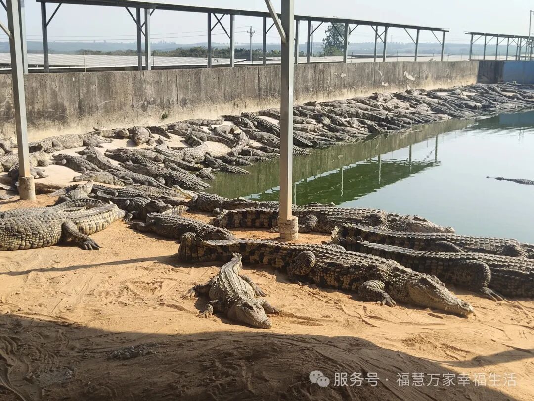 ������ + �Ƹ� �Ҹ�����·�� ��������̳�������ʽԲ������ ��������ںϿ�������������ƪ