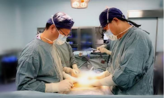 ��������ʾ����״����ά�������ڷ���������������Ҫ