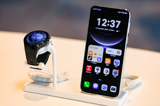 �ڶ��컪Ϊ�ն˽���������ҵ��᣺�����������ͱ�˰�������