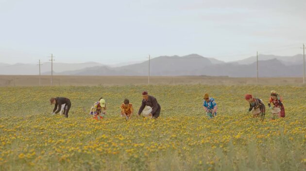 绿色与智能是竞争力!步长制药如何用绿色“智”造焕新本草香?