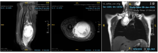 ��������ʾ����״����ά�������ڷ���������������Ҫ