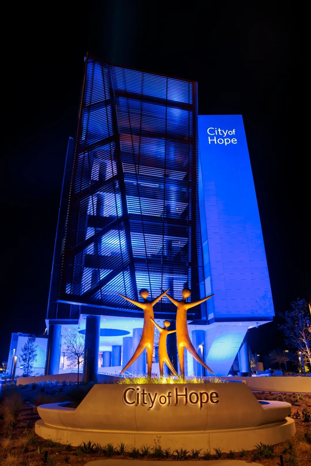 ϣ��֮�ǽ�������Ψһ��֢ר��ҽԺ������ȫ����֢ҽ���±��