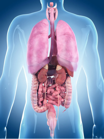 ����΢��θ��ר��ҽԺ�������ԡ���ʵ���ڣ���Ľ��ǡ�ʧ�ߺ���������Դ�����ڽ᳦�