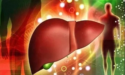 3.18ȫ��������3�»������ҽЯ�ֻ��Σ�����Ԯ��ů����