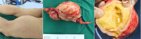 ��������ʾ����״����ά�������ڷ���������������Ҫ