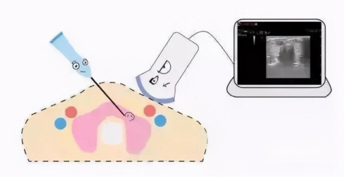 ¼״ڣ״ٽ ׼ػߡ