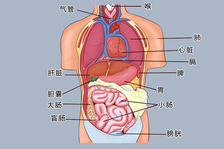 幹λ